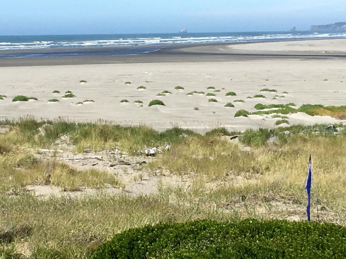 Hi-Tide Ocean Beach Resort Moclips Buitenkant foto